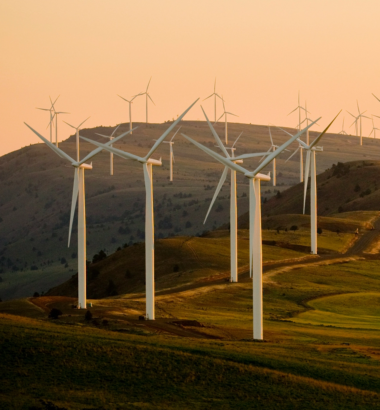 Sustainability